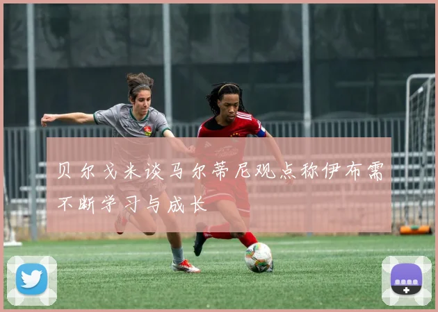 贝尔戈米谈马尔蒂尼观点称伊布需不断学习与成长